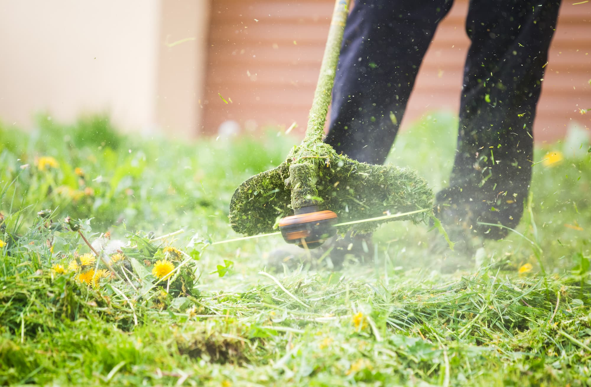 Entretien des espaces verts : abattage, débroussaillage, arrosage vers Altkirch et Saint-Louis Wittenheim 4