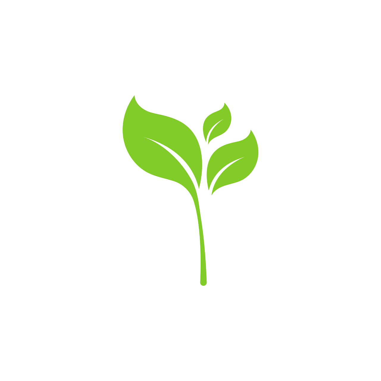 50 % de crédit d’impôt sur votre jardin ! Illzach 5