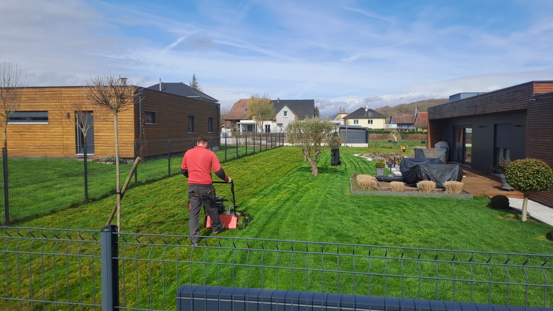 Une pelouse impeccable grâce à la scarification              avec CG Concept Paysage à Aspach. Belfort 4