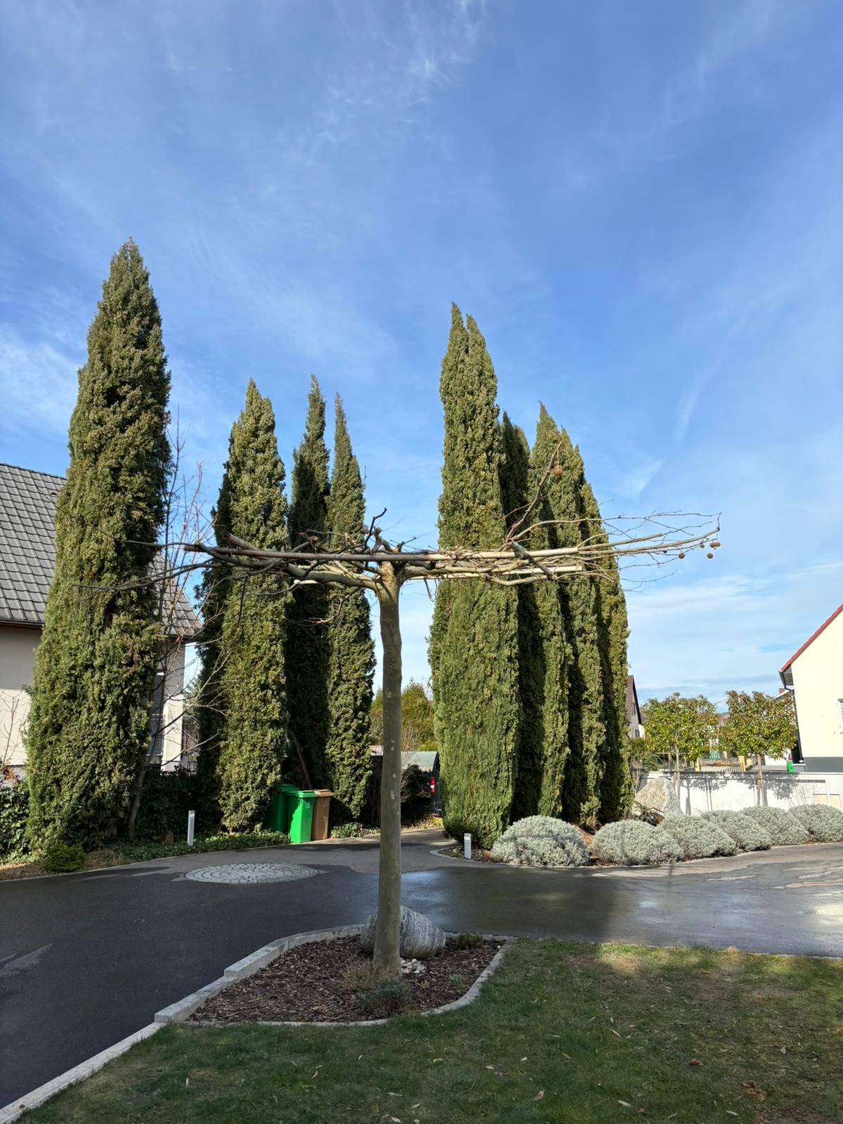 Entretien Saint-Louis 5