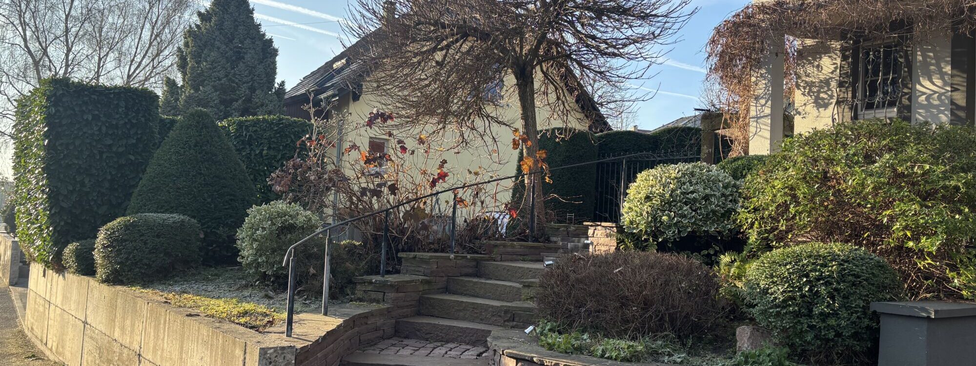 2025 03 05 20H32_11 BEHE PATRICK ESCHENTZWILLER VOIR AVEC GILLES POUR INSTRUCTION NE PAS VENIUR AVANT 8H30 PRENDRE TRONCONNEUSE_XL6SAEFECP 1 2000X750 | Concept Paysage Pourquoi faire appel à Concept Paysage pour la taille de vos arbres fruitiers dans le Haut-Rhin ?🍎 Saint-Louis