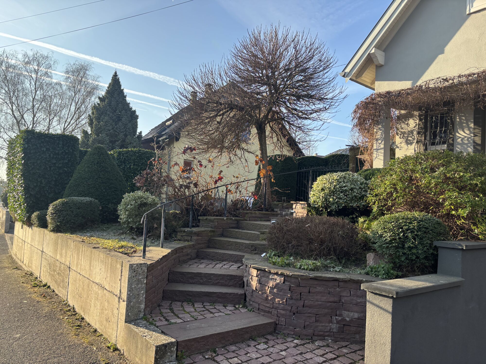 Pourquoi faire appel &agrave; Concept Paysage pour la taille de vos arbres fruitiers dans le Haut-Rhin ?🍎 Saint-Louis